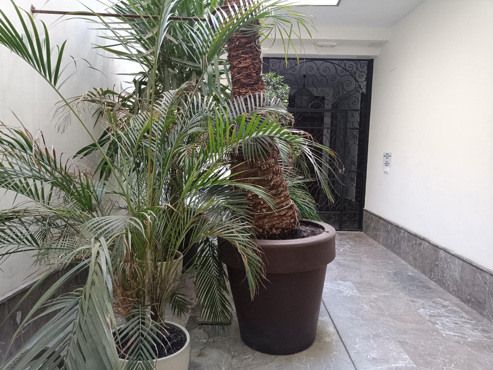 Apartamentos Luxury Puente De Triana Siviglia Esterno foto